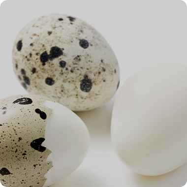 색소/기미 치료